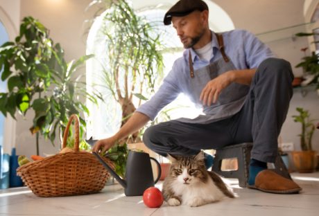pet-friendly home