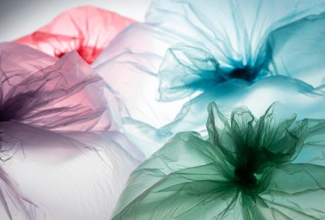 Polythene Bags