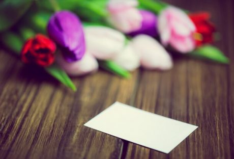 Sample Cards